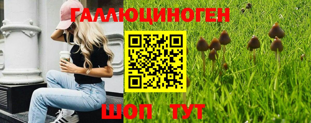 Псилоцибиновые грибы Magic Shrooms Гулькевичи