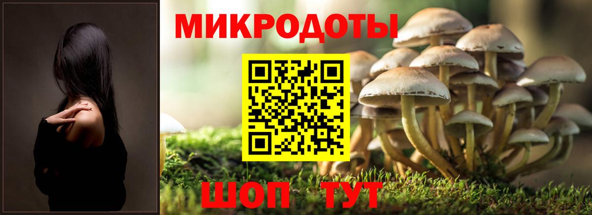 Галлюциногенные грибы Psilocybine cubensis  Вход с VPN  Гулькевичи 